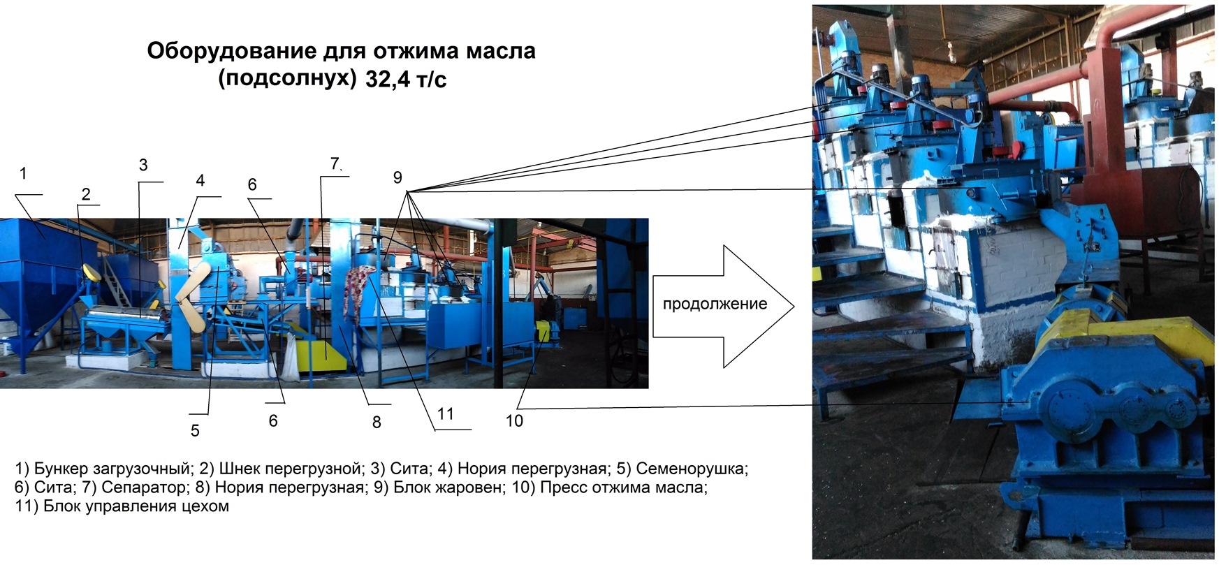 Бизнес план производство растительного масла